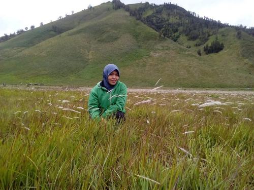 jangan pergi ke bromo