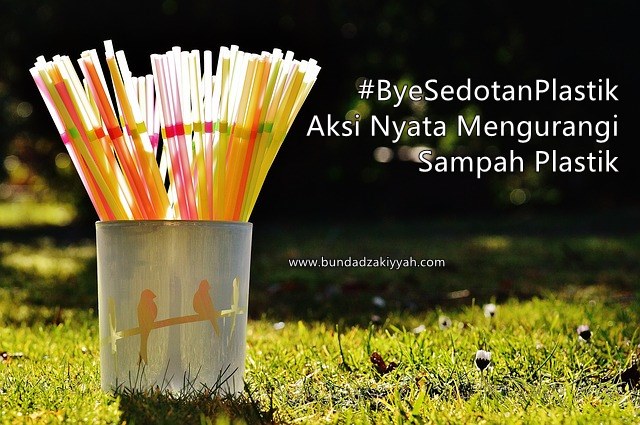 aksi-nyata-mengurangi-sampah-pastik