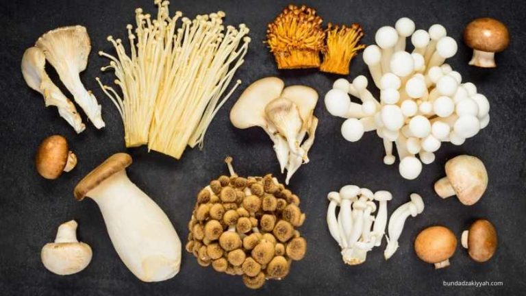 cara menyimpan bahan makanan