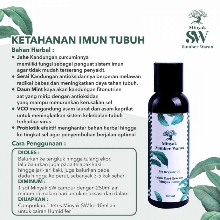 manfaat minyak sumber waras untuk ketahanan imun tubuh