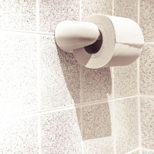 tisue toilet